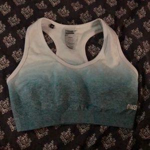 gymshark ice blue sports bra